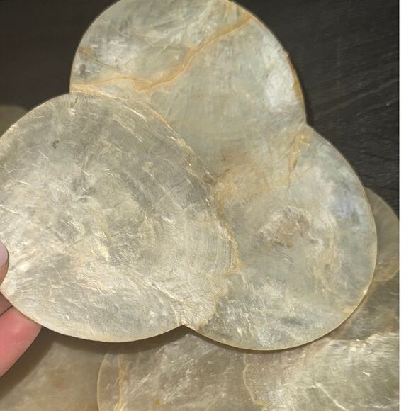 Kane Kutlery Genuine Shell Craft‎ 6 Shell Coasters Made In Philippines Cork Back - Picture 10 of 11